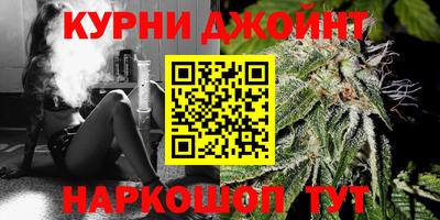 прущие грибы Ярославль