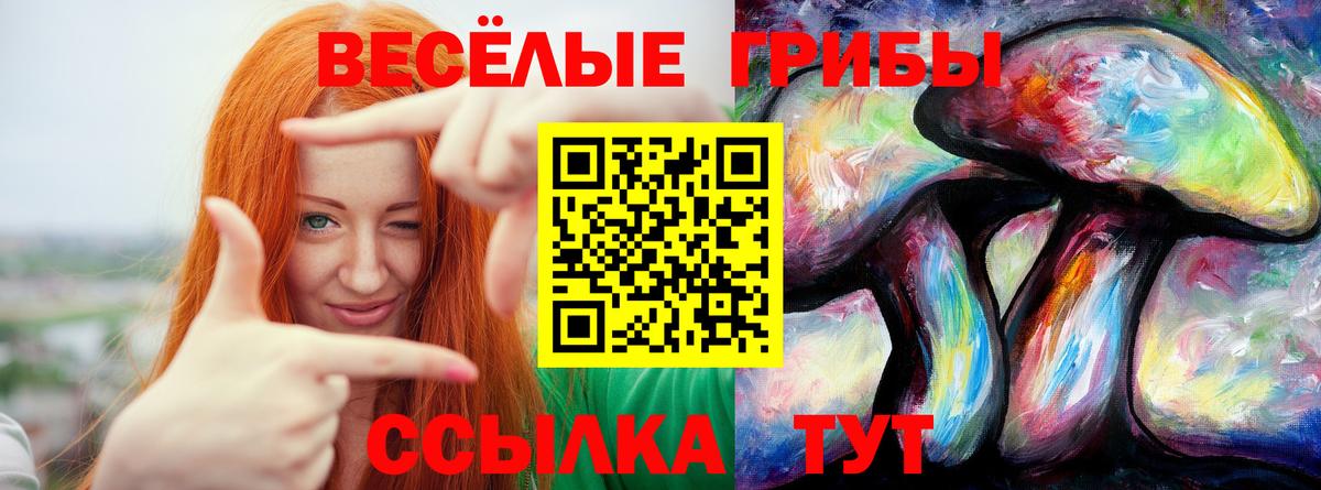 Псилоцибиновые грибы ЛСД  Вход с VPN  Асино  Галлюциногенные грибы мицелий 